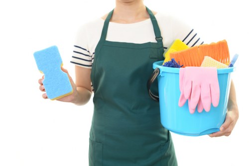 Little Ilford carpet cleaners introducing professional local carpet care