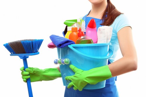 Little Ilford carpet cleaners working on a residential carpet