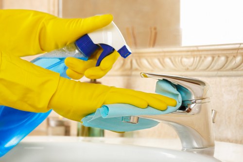 Local carpet cleaning team working on a well-maintained carpet