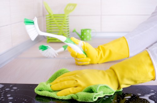 Accessible Little Ilford Carpet Cleaners page for screen reader users