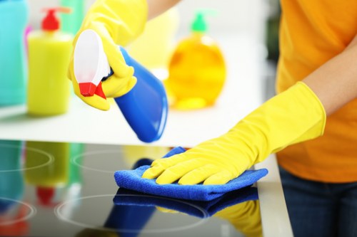 Trained technician inspecting a carpet before cleaning