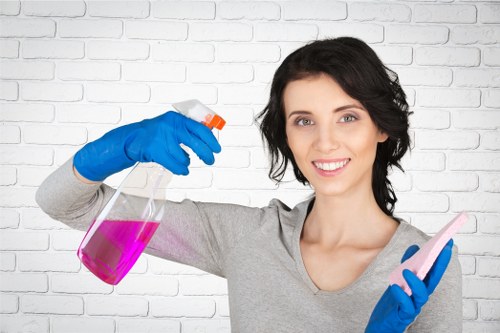 Stain removal and mattress hygiene service in Little Ilford