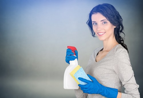 Accessibility request section for Little Ilford carpet cleaning information